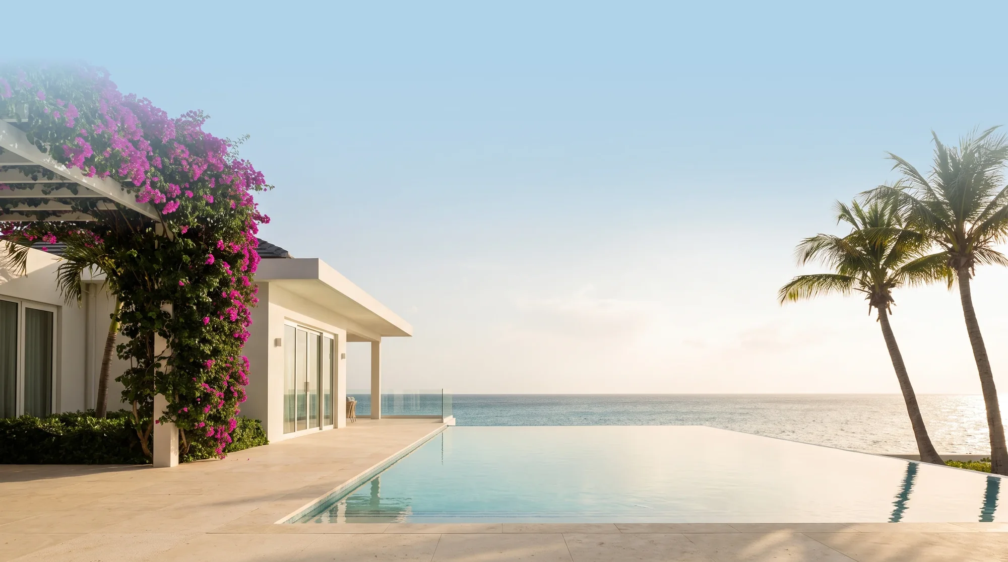 Infinity pool van een witte villa aan zee op Curaçao, met bougainvillea en palmen